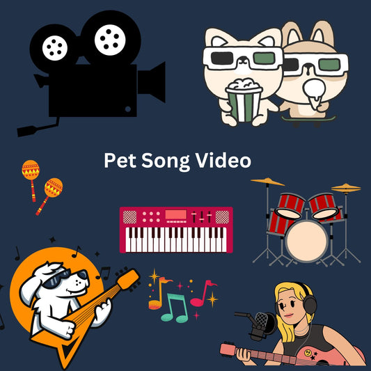 The Custom Pet Song Video Add On